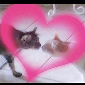 Meet your Posher, Sophia